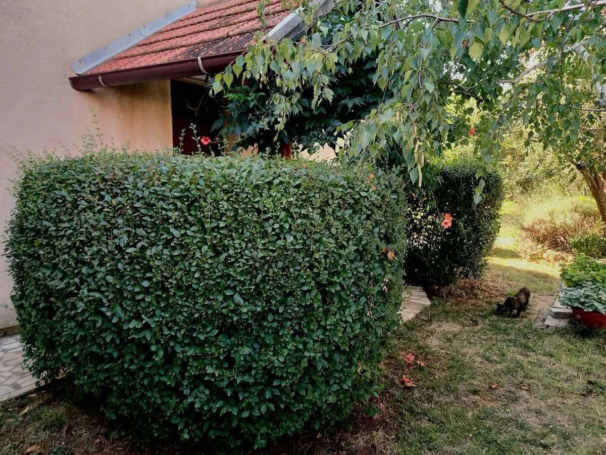 Viva Apartment Pomer 0*,  Croatia
